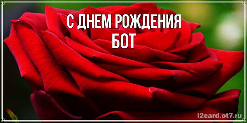 Картинка С днем рождения, Бот