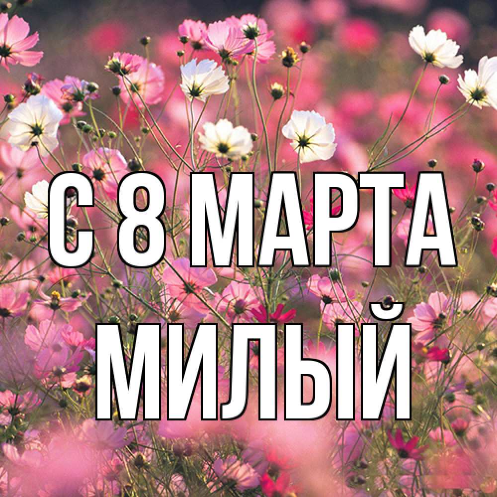 Открытка на каждый день с именем, Милый C 8 МАРТА красиво 1 Прикольная открытка с пожеланием онлайн скачать бесплатно 