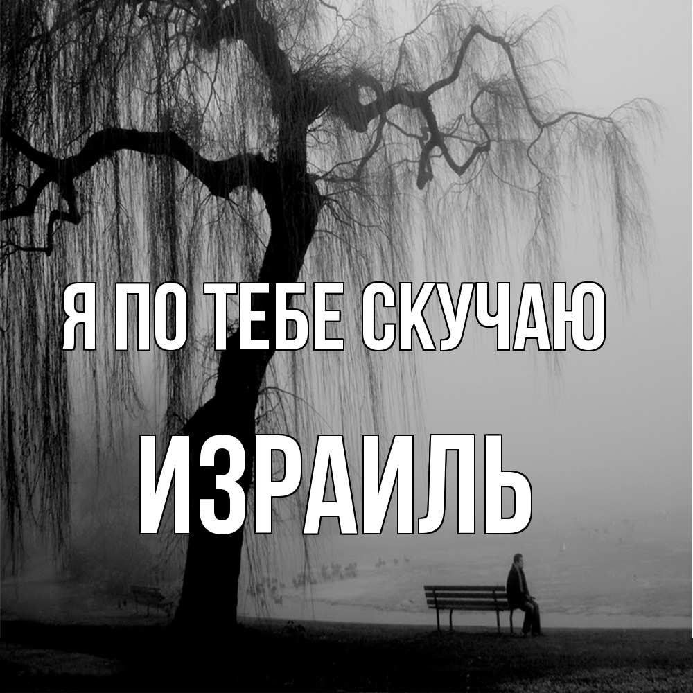Открытка на каждый день с именем, Израиль Я по тебе скучаю лавочка под деревом я жду тебя Прикольная открытка с пожеланием онлайн скачать бесплатно 