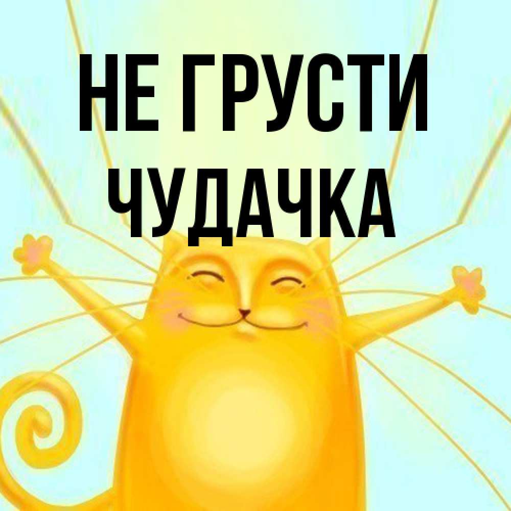 Открытка на каждый день с именем, Чудачка Не грусти обнимашки усатые Прикольная открытка с пожеланием онлайн скачать бесплатно 