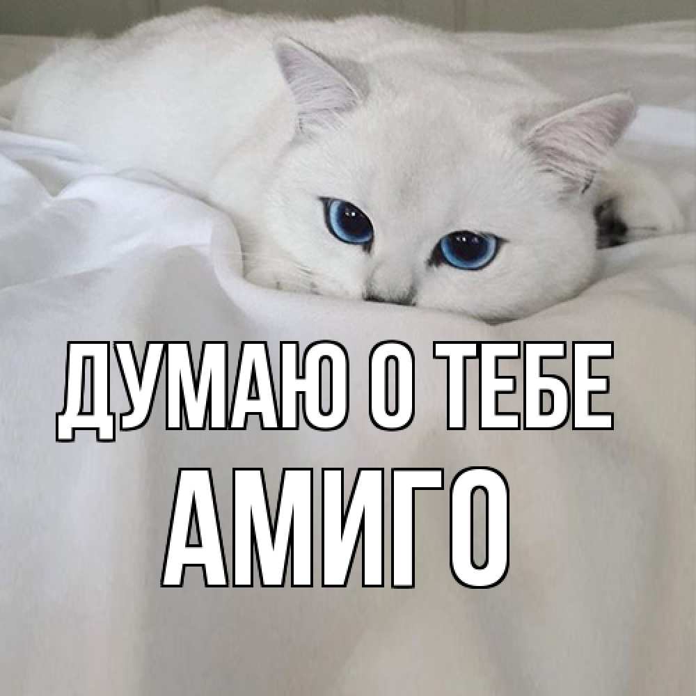 Открытка на каждый день с именем, Амиго Думаю о тебе я очень по тебе скучаю и тоскую Прикольная открытка с пожеланием онлайн скачать бесплатно 