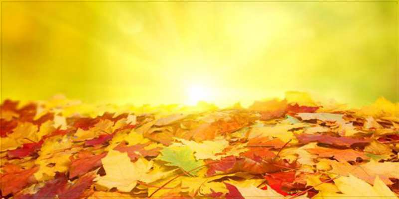 Картинка Удачного дня, Алексей