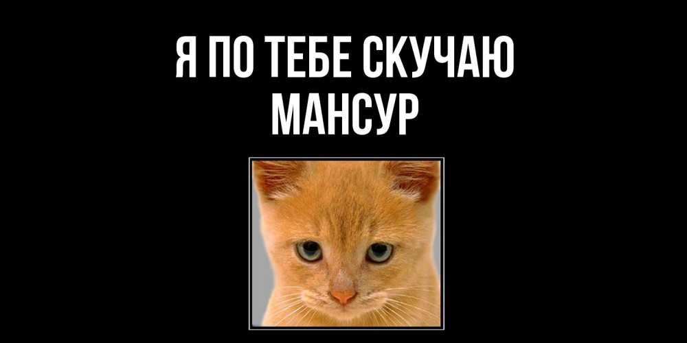 Открытка на каждый день с именем, Мансур Я по тебе скучаю открытки рыжий котенок скучает по тебе Прикольная открытка с пожеланием онлайн скачать бесплатно 