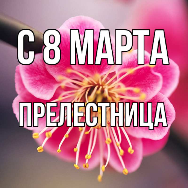 Картинка C 8 МАРТА, Прелестница