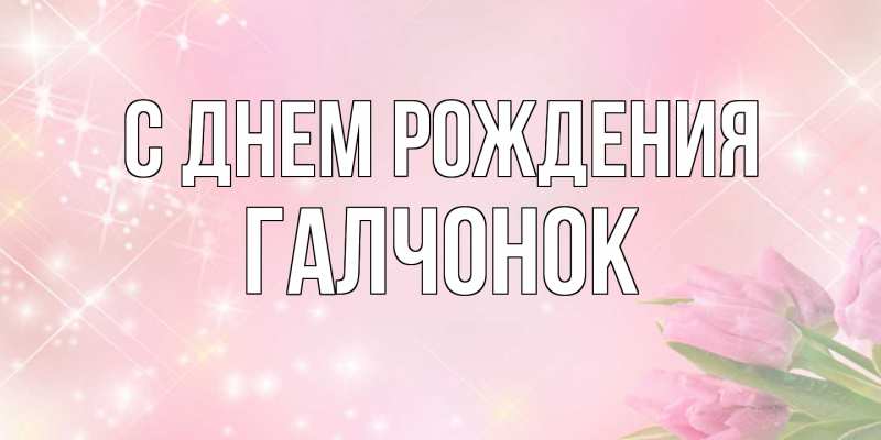 Картинка С днем рождения, галчонок