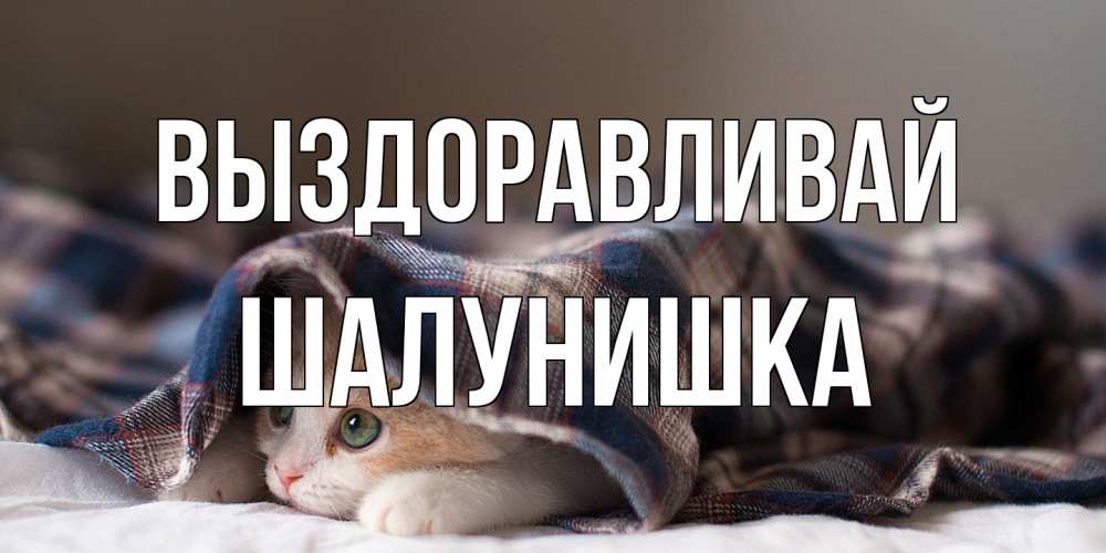 Открытка на каждый день с именем, шалунишка Выздоравливай не болейте с котиком Прикольная открытка с пожеланием онлайн скачать бесплатно 