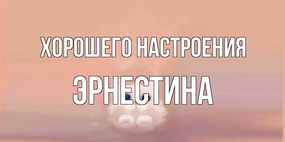 Открытка на каждый день с именем, Эрнестина Хорошего настроения кошка Прикольная открытка с пожеланием онлайн скачать бесплатно 