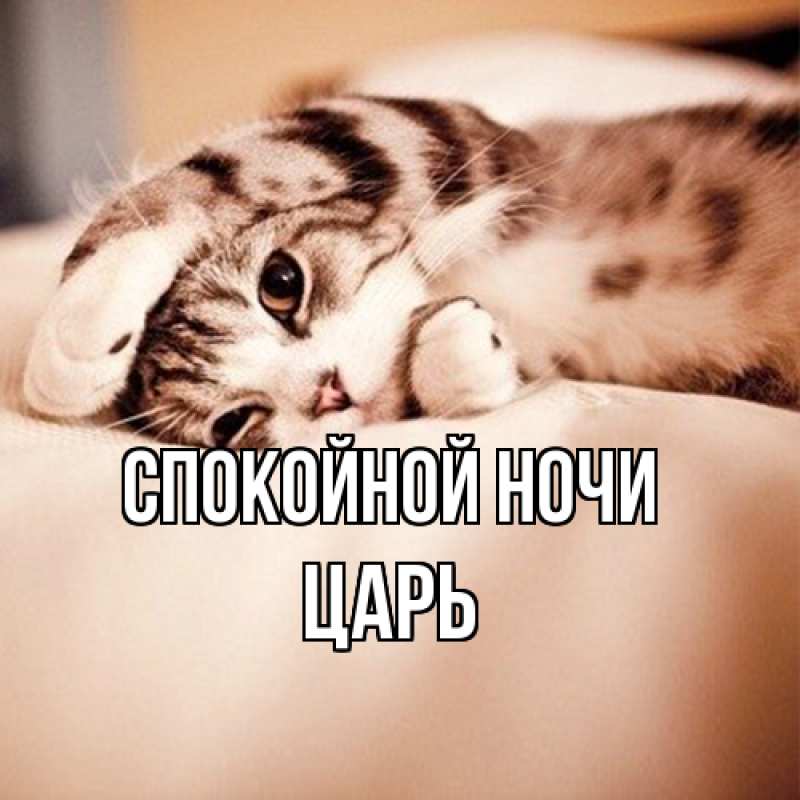 Картинка Спокойной ночи, Царь