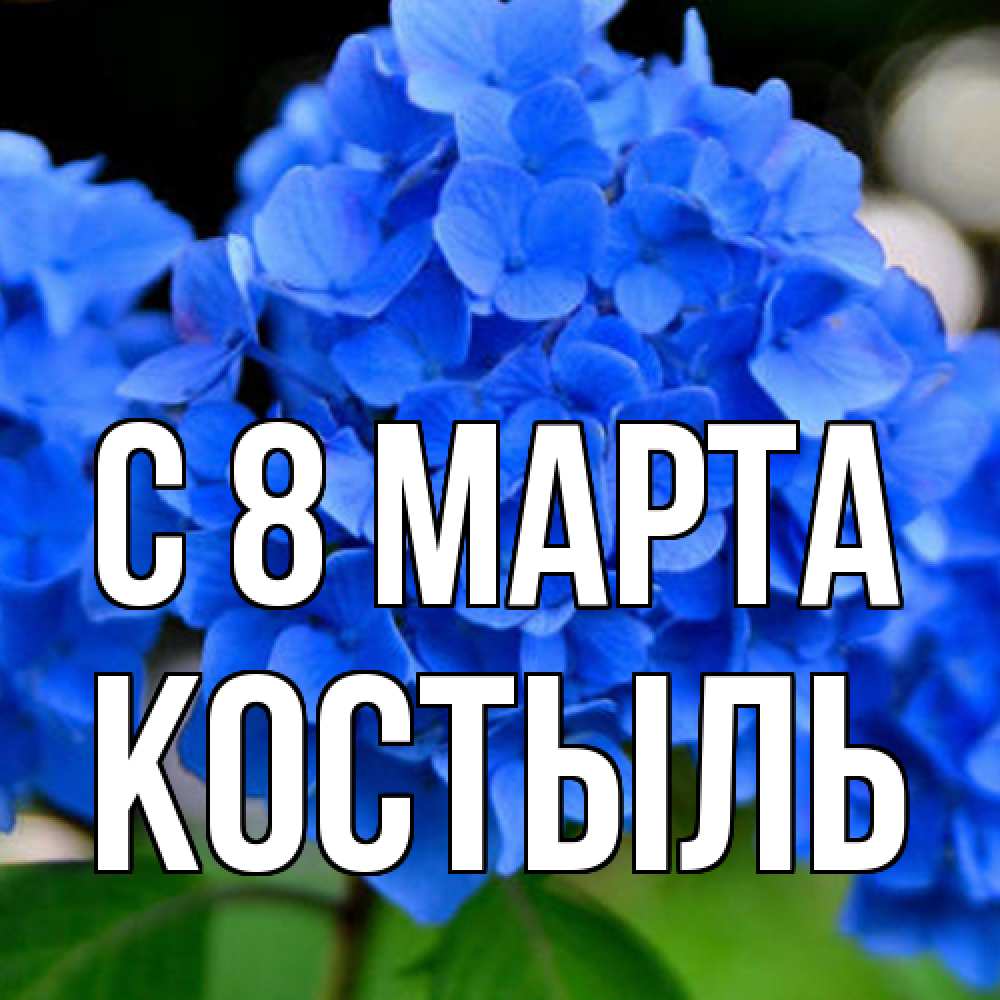 Открытка на каждый день с именем, Костыль C 8 МАРТА синие цветы Прикольная открытка с пожеланием онлайн скачать бесплатно 