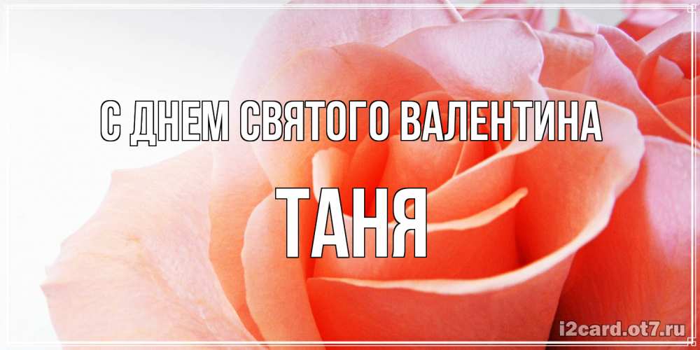 Открытка на каждый день с именем, Таня С днем Святого Валентина открытка на день Святого Валентина с розовой розой Прикольная открытка с пожеланием онлайн скачать бесплатно 