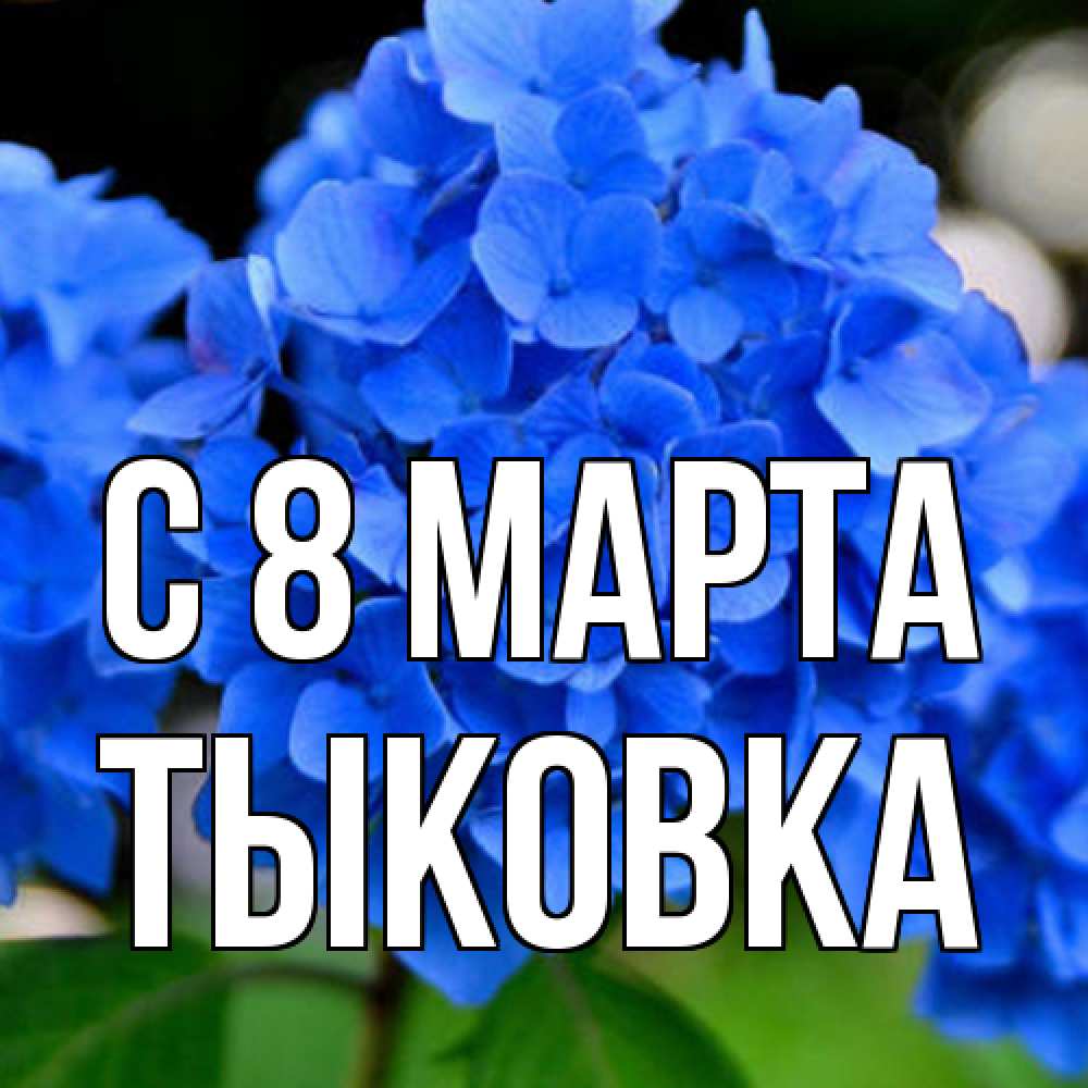 Открытка на каждый день с именем, тыковка C 8 МАРТА синие цветы Прикольная открытка с пожеланием онлайн скачать бесплатно 