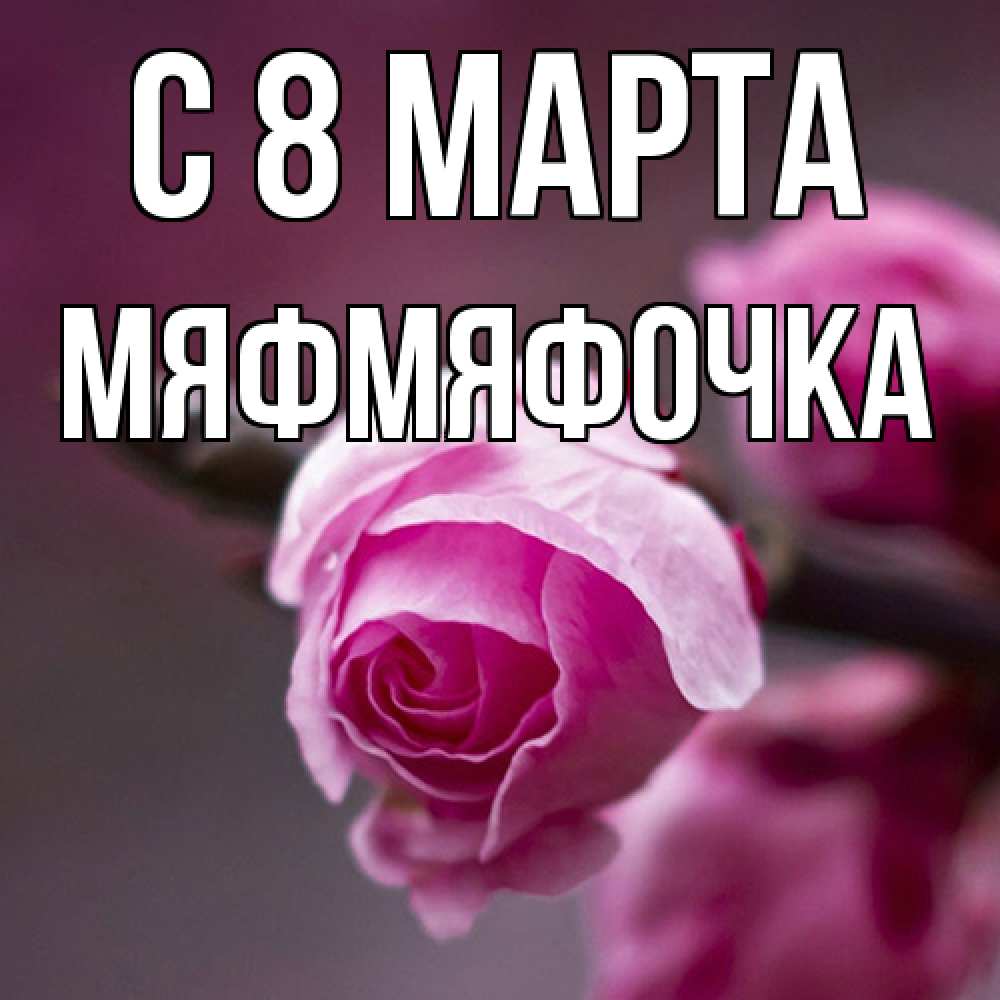 Открытка на каждый день с именем, мяфмяфочка C 8 МАРТА весна Прикольная открытка с пожеланием онлайн скачать бесплатно 