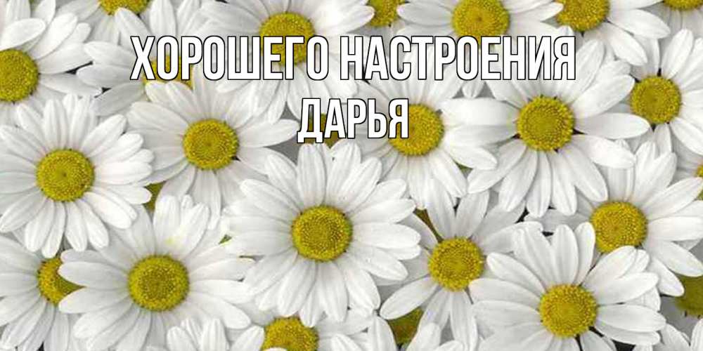 Открытка на каждый день с именем, Дарья Хорошего настроения поляна ромашек Прикольная открытка с пожеланием онлайн скачать бесплатно 
