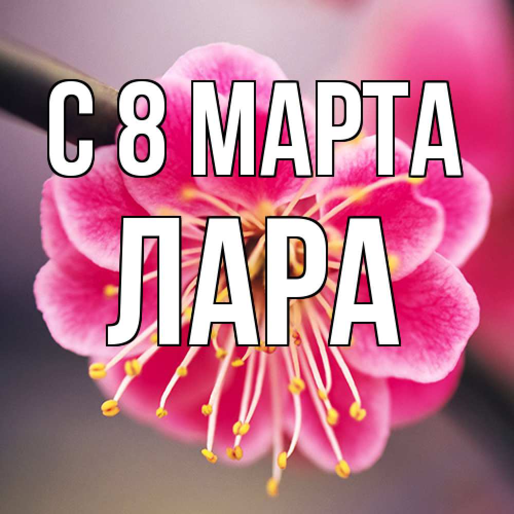 Открытка на каждый день с именем, Лара C 8 МАРТА цветы Прикольная открытка с пожеланием онлайн скачать бесплатно 