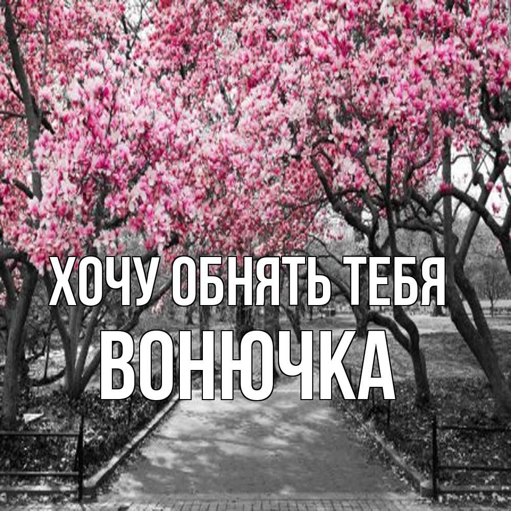 Открытка на каждый день с именем, Вонючка Хочу обнять тебя обработанное фото Прикольная открытка с пожеланием онлайн скачать бесплатно 
