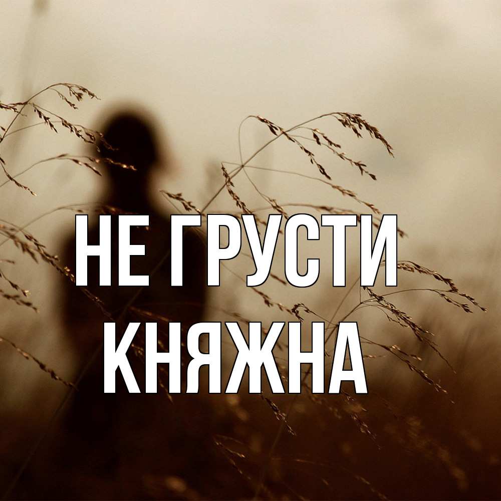 Открытка на каждый день с именем, Княжна Не грусти грусть Прикольная открытка с пожеланием онлайн скачать бесплатно 