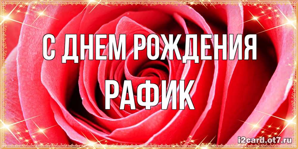 Открытка на каждый день с именем, Рафик С днем рождения розовая роза очень крупный бутон Прикольная открытка с пожеланием онлайн скачать бесплатно 