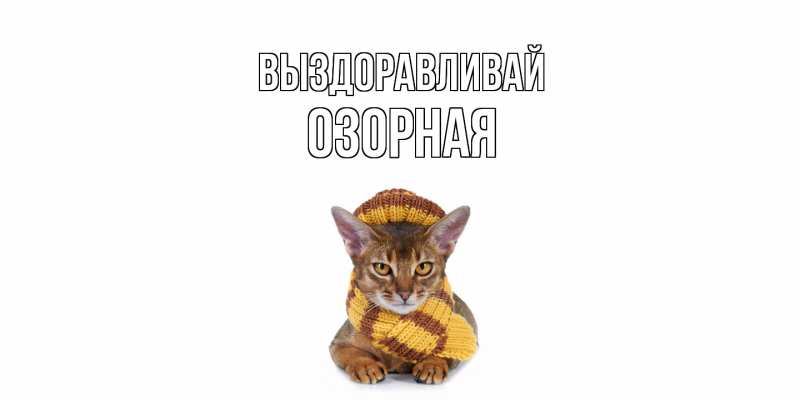 Картинка Выздоравливай, Озорная