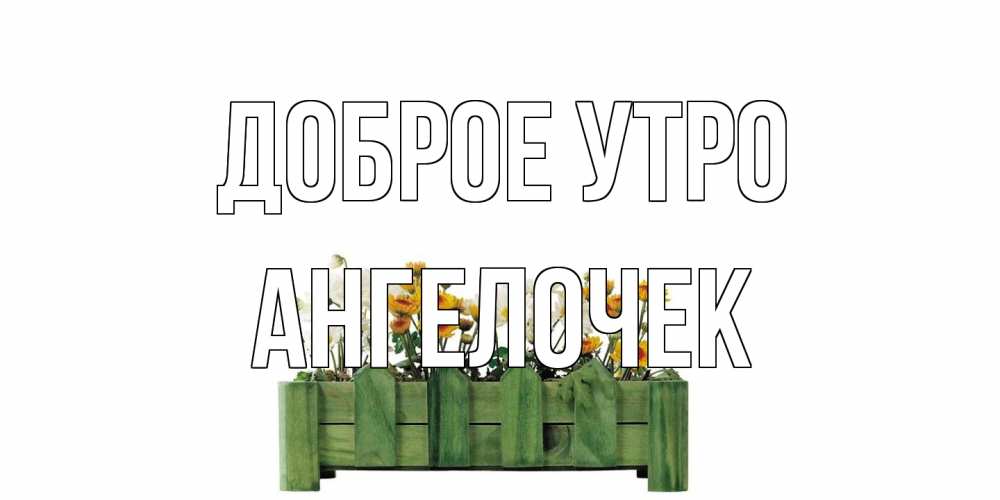 Открытка на каждый день с именем, Ангелочек Доброе утро цветы Прикольная открытка с пожеланием онлайн скачать бесплатно 