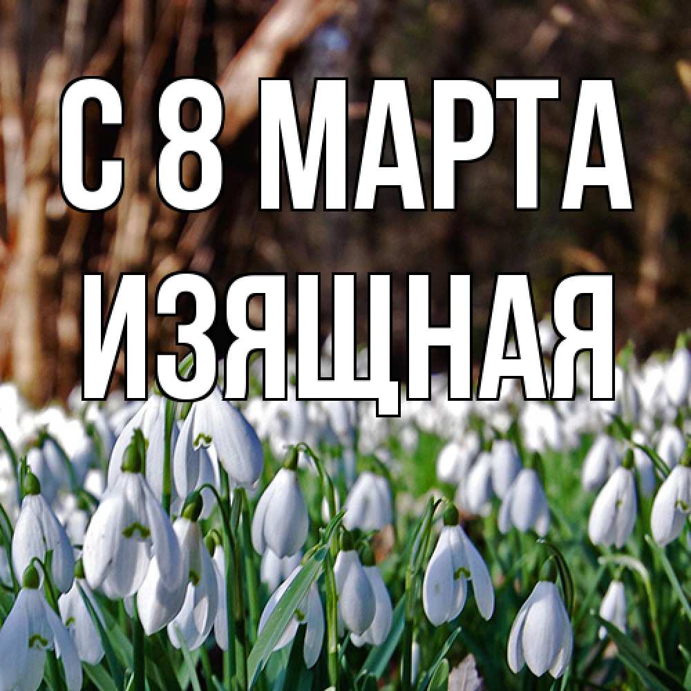 Открытка на каждый день с именем, Изящная C 8 МАРТА с подснежниками 1 Прикольная открытка с пожеланием онлайн скачать бесплатно 
