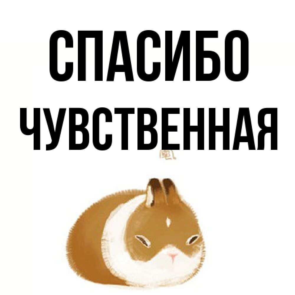 Открытка на каждый день с именем, Чувственная Спасибо коричнево белый домашний питомец Прикольная открытка с пожеланием онлайн скачать бесплатно 