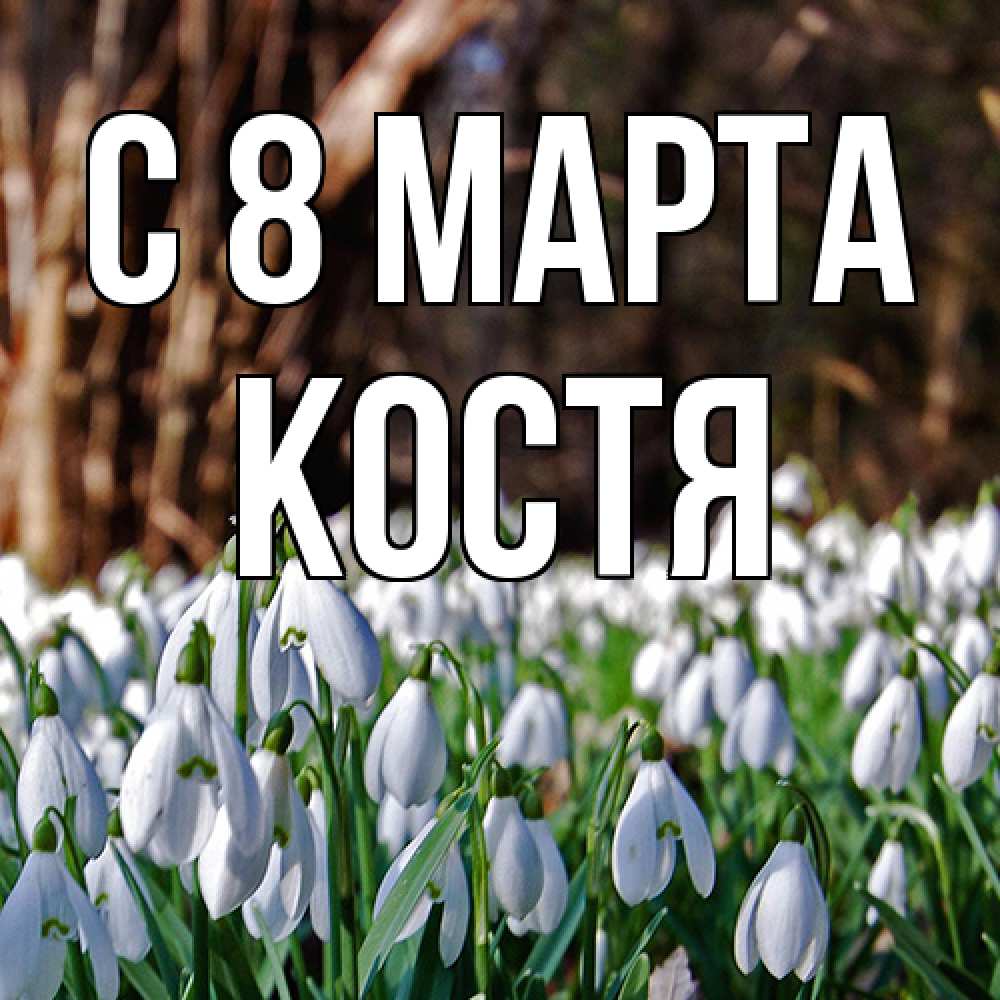 Открытка на каждый день с именем, Костя C 8 МАРТА с подснежниками 1 Прикольная открытка с пожеланием онлайн скачать бесплатно 