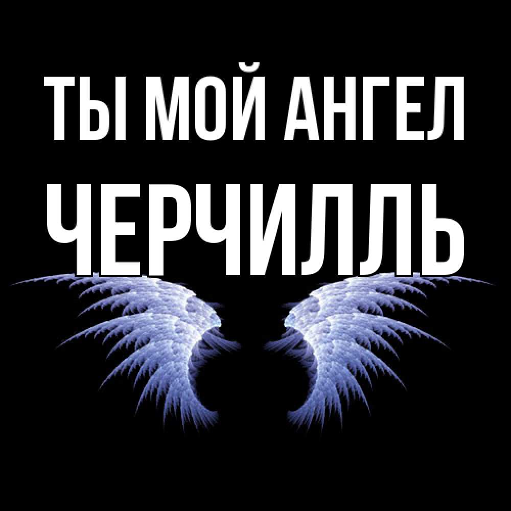 Открытка на каждый день с именем, Черчилль Ты мой ангел ангельские крылья на черном фоне Прикольная открытка с пожеланием онлайн скачать бесплатно 