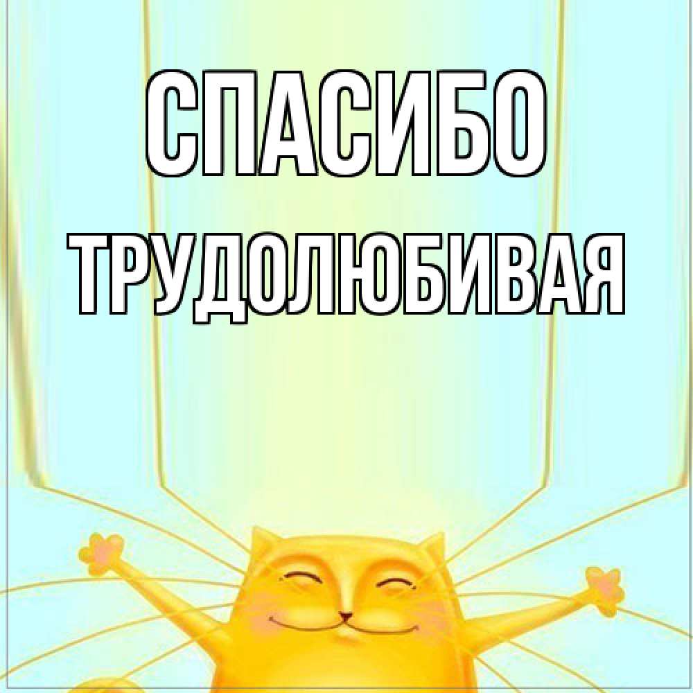 Открытка на каждый день с именем, Тpудолюбивая Спасибо кот с усами благодарит Прикольная открытка с пожеланием онлайн скачать бесплатно 