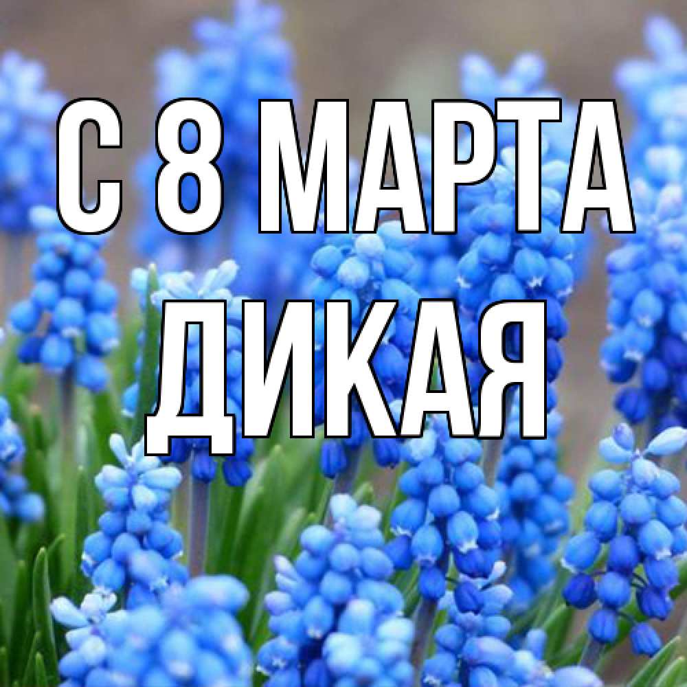 Открытка на каждый день с именем, дикая C 8 МАРТА Поздравительная открытка для женщин с цветами на праздничную дату Прикольная открытка с пожеланием онлайн скачать бесплатно 