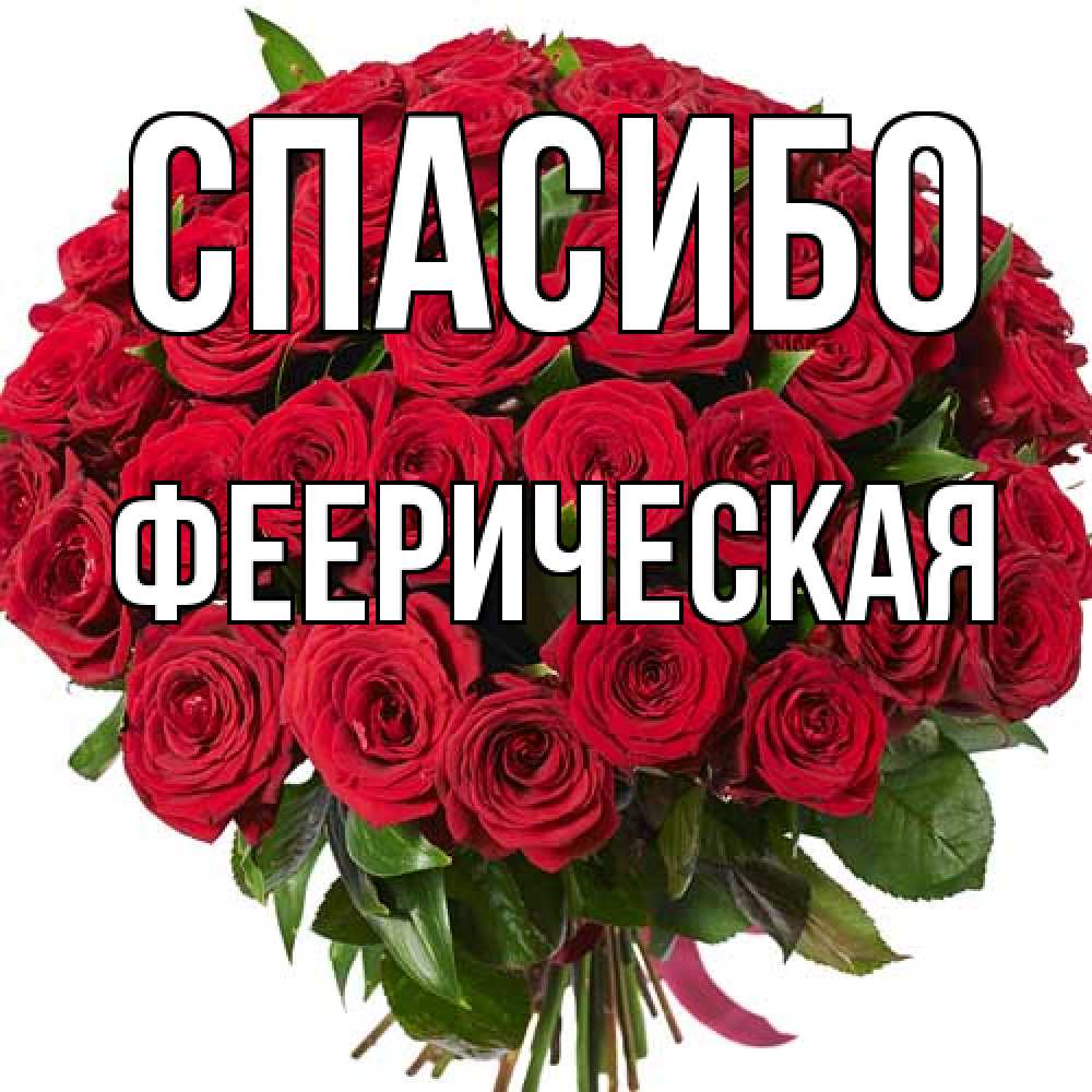 Открытка на каждый день с именем, Фееpическая Спасибо букет красных роз Прикольная открытка с пожеланием онлайн скачать бесплатно 