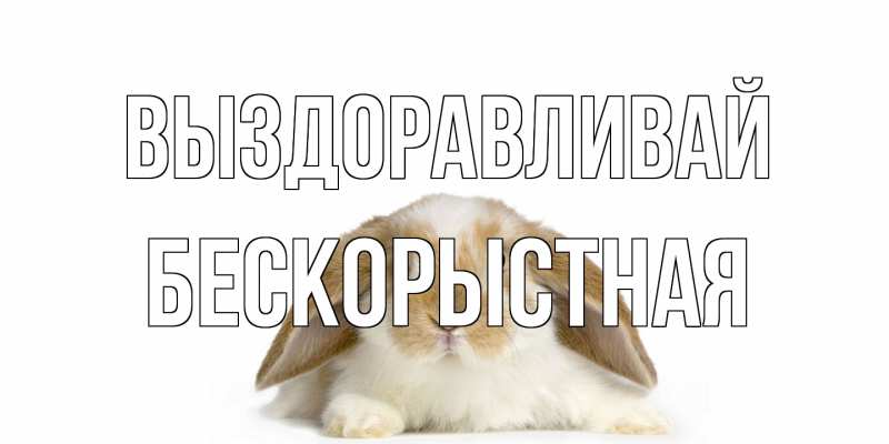 Картинка Выздоравливай, Бескорыстная