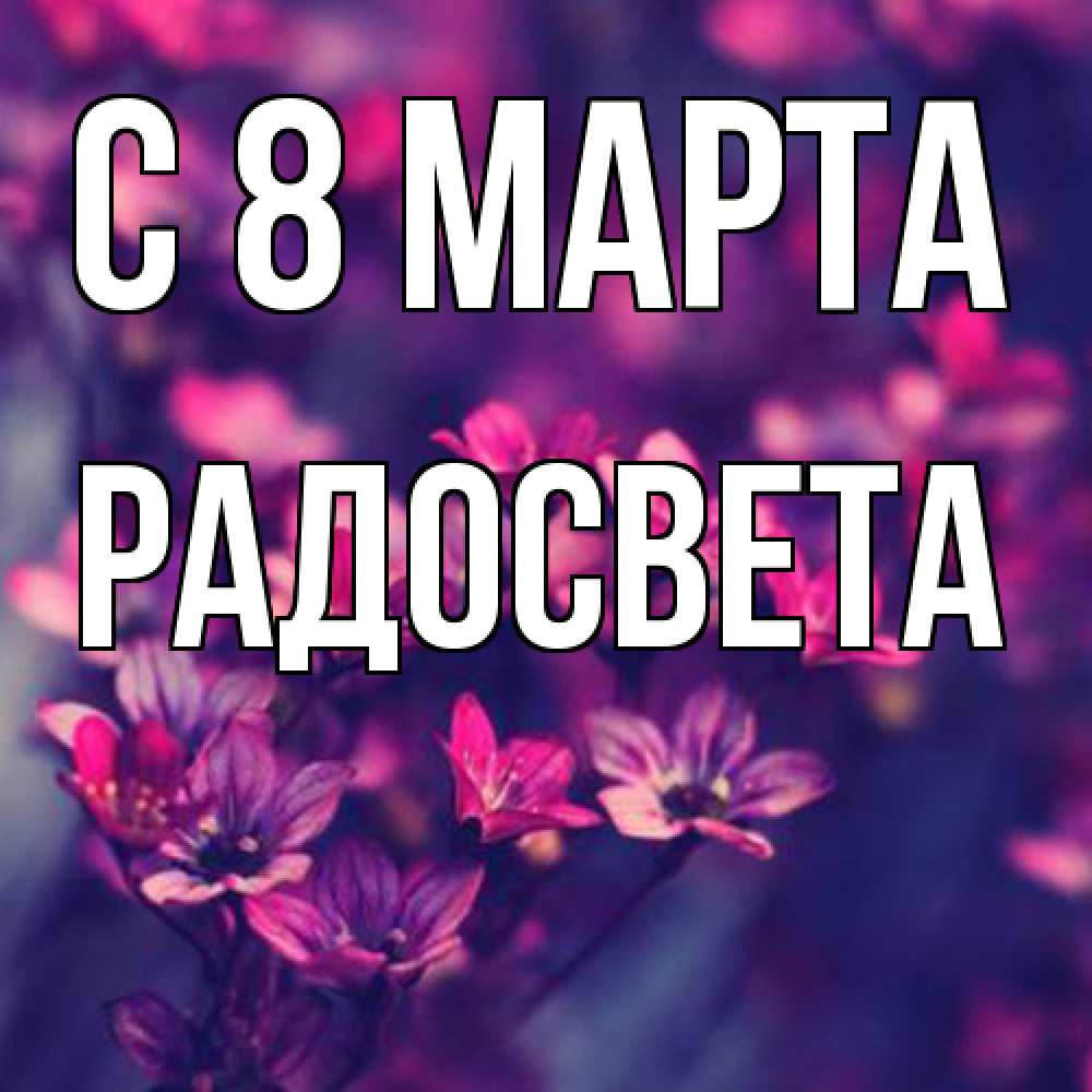 Открытка на каждый день с именем, Радосвета C 8 МАРТА небольшие цветы 1 Прикольная открытка с пожеланием онлайн скачать бесплатно 
