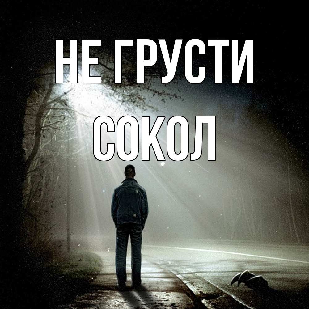 Открытка на каждый день с именем, Сокол Не грусти свет с неба в лесу Прикольная открытка с пожеланием онлайн скачать бесплатно 