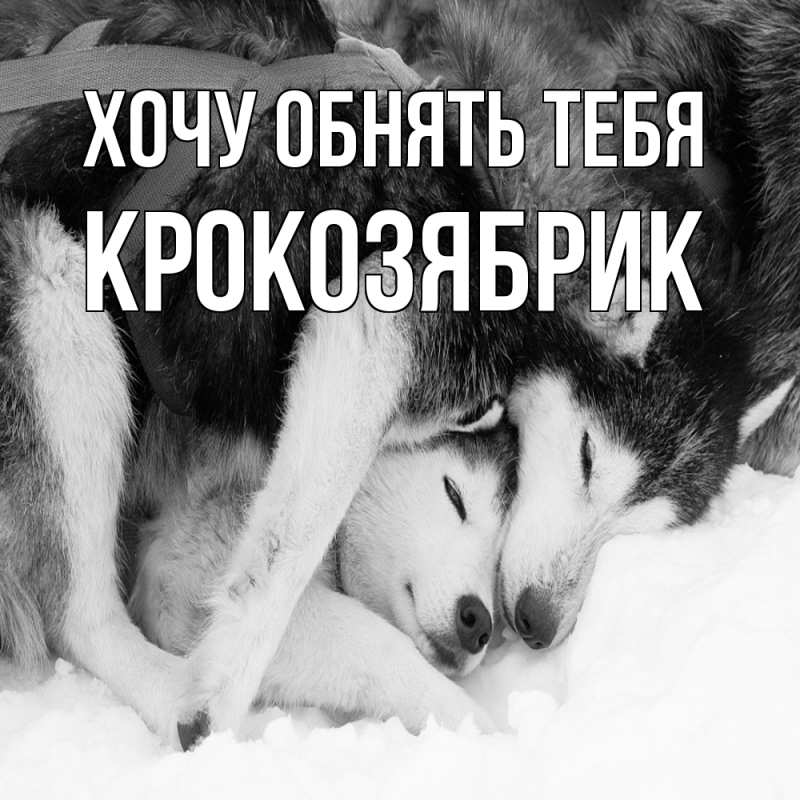 Картинка Хочу обнять тебя, крокозябрик