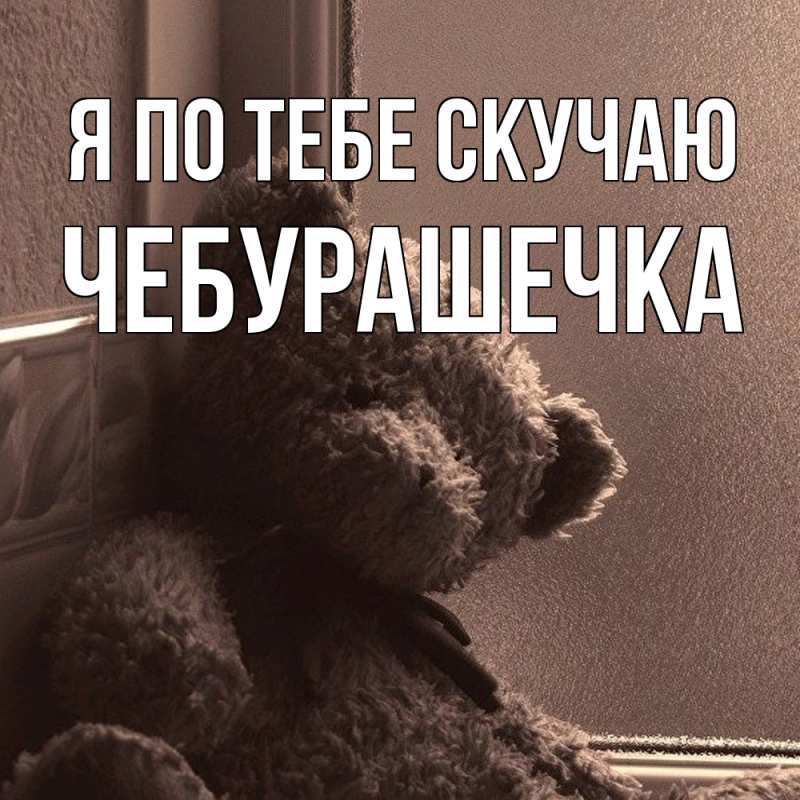 Картинка Я по тебе скучаю, Чебурашечка