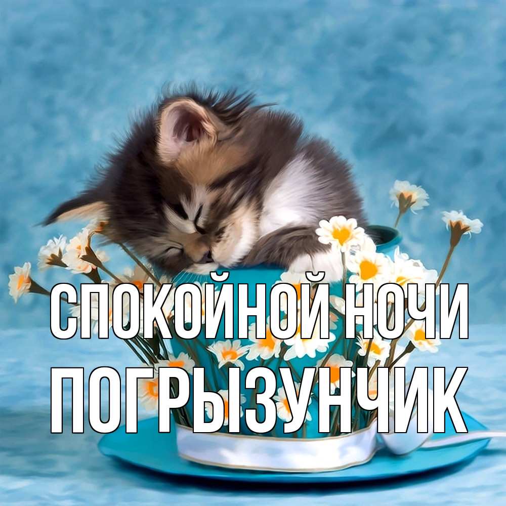 Открытка на каждый день с именем, Погрызунчик Спокойной ночи котенок спит в кружке с блюдцем Прикольная открытка с пожеланием онлайн скачать бесплатно 