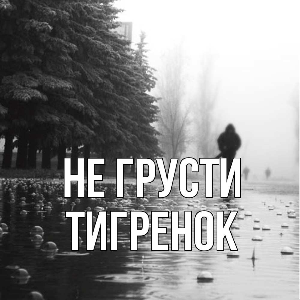 Открытка на каждый день с именем, Тигpенок Не грусти улица под дождем Прикольная открытка с пожеланием онлайн скачать бесплатно 