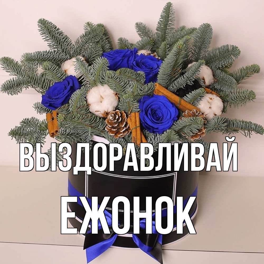 Открытка на каждый день с именем, Ежонок Выздоравливай короче кто то загрузил эти шишки Прикольная открытка с пожеланием онлайн скачать бесплатно 