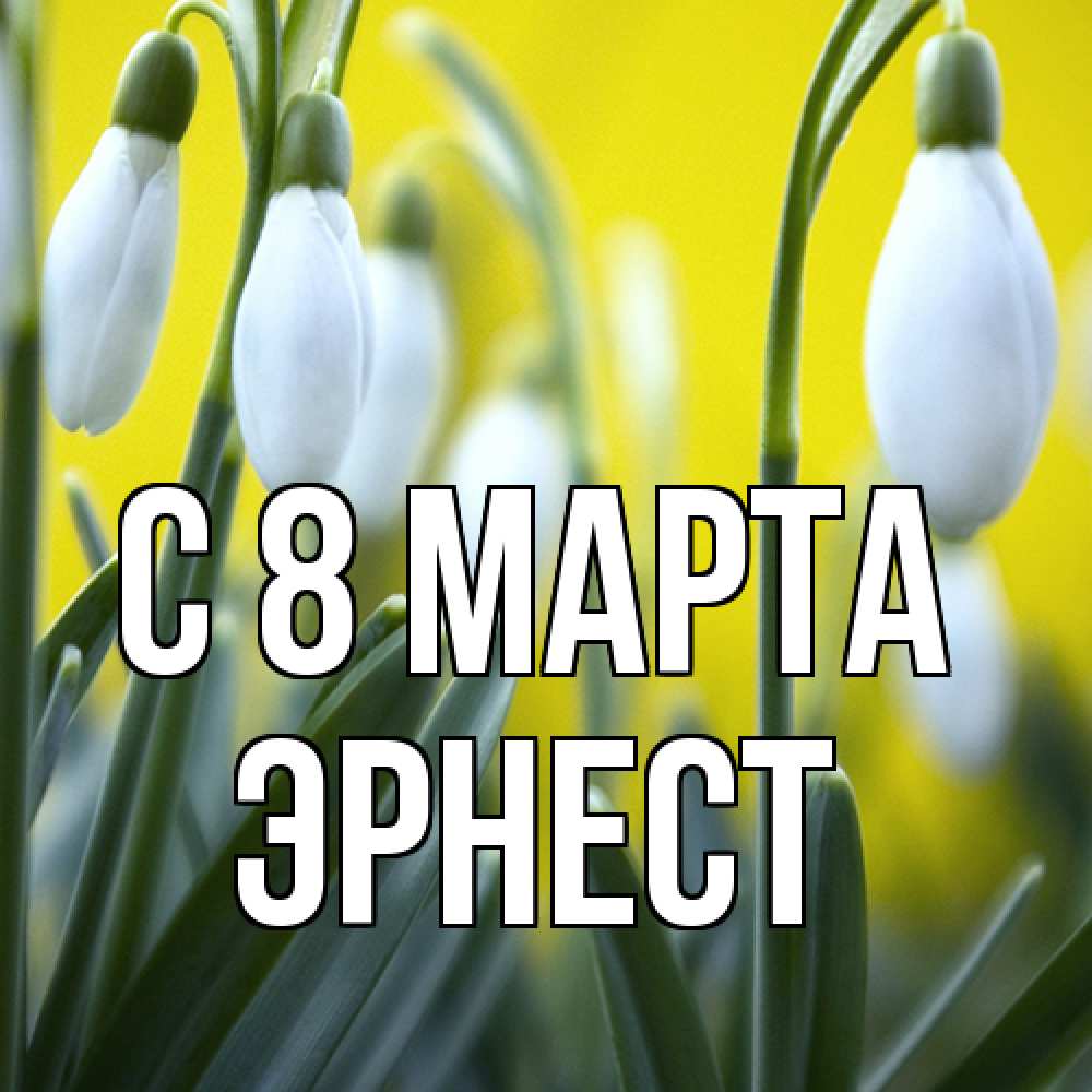Открытка на каждый день с именем, Эрнест C 8 МАРТА весенние цветы Прикольная открытка с пожеланием онлайн скачать бесплатно 