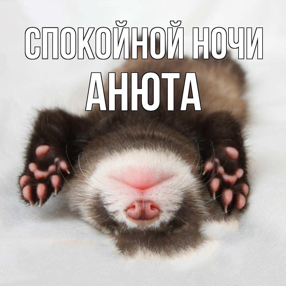 Открытка на каждый день с именем, Анюта Спокойной ночи зверек Прикольная открытка с пожеланием онлайн скачать бесплатно 