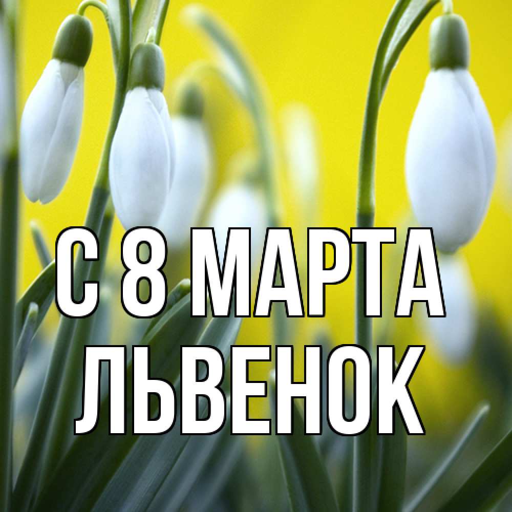 Открытка на каждый день с именем, Львенок C 8 МАРТА весенние цветы Прикольная открытка с пожеланием онлайн скачать бесплатно 