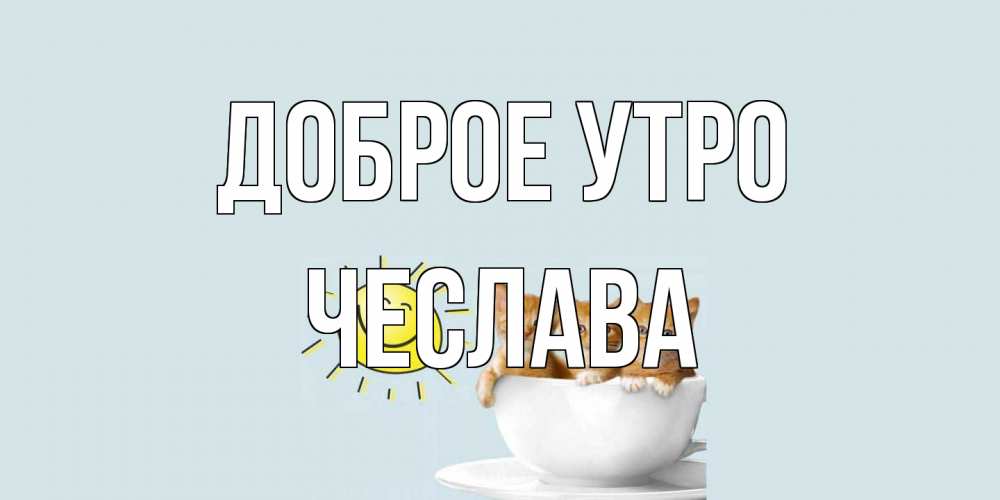 Открытка на каждый день с именем, Чеслава Доброе утро котята Прикольная открытка с пожеланием онлайн скачать бесплатно 
