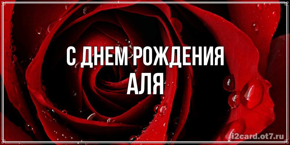 Открытка на каждый день с именем, Аля С днем рождения крупная бордовая роза Прикольная открытка с пожеланием онлайн скачать бесплатно 