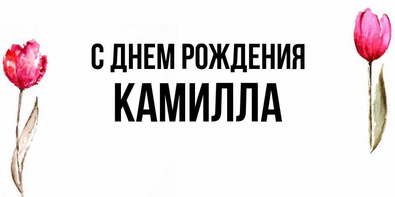 Картинка С днем рождения, Камилла