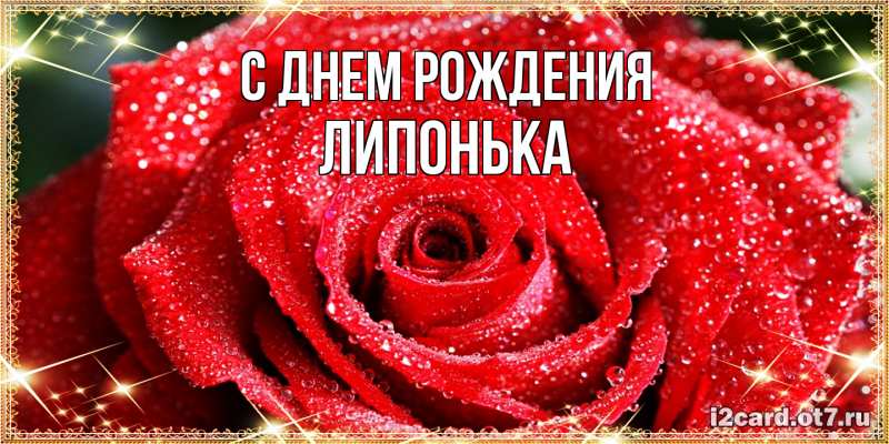Картинка С днем рождения, Липонька