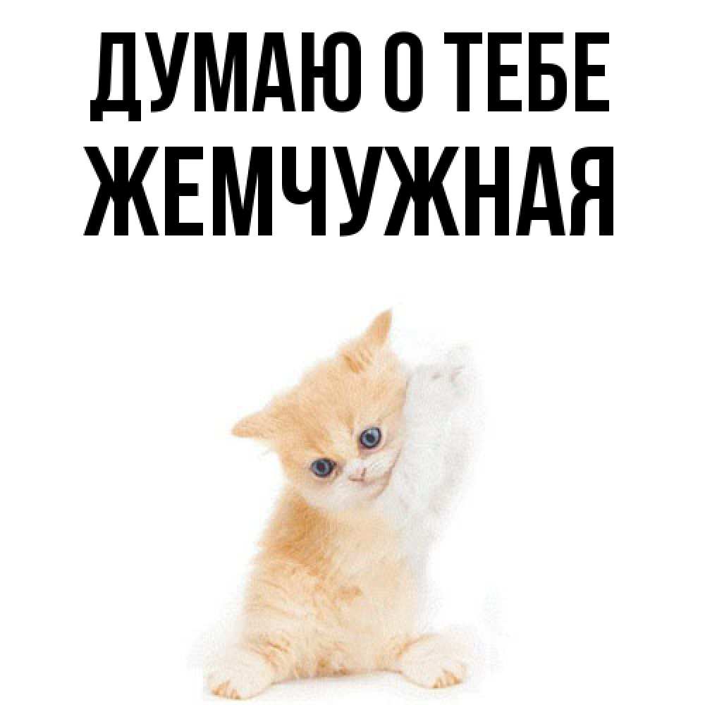 Открытка на каждый день с именем, Жемчужная Думаю о тебе зверушки и милота Прикольная открытка с пожеланием онлайн скачать бесплатно 