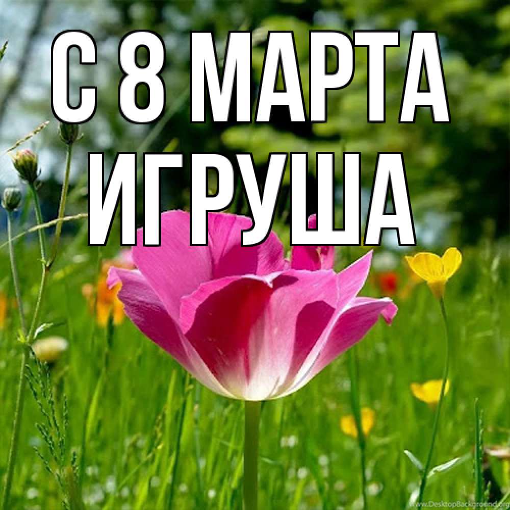 Открытка на каждый день с именем, Игруша C 8 МАРТА полевые цветы Прикольная открытка с пожеланием онлайн скачать бесплатно 