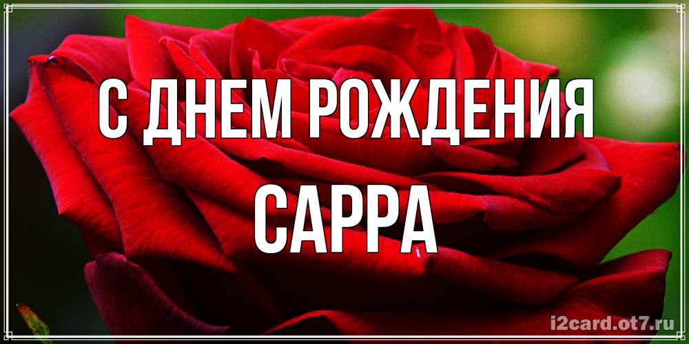 Открытка на каждый день с именем, Сарра С днем рождения розочка очень красивая Прикольная открытка с пожеланием онлайн скачать бесплатно 