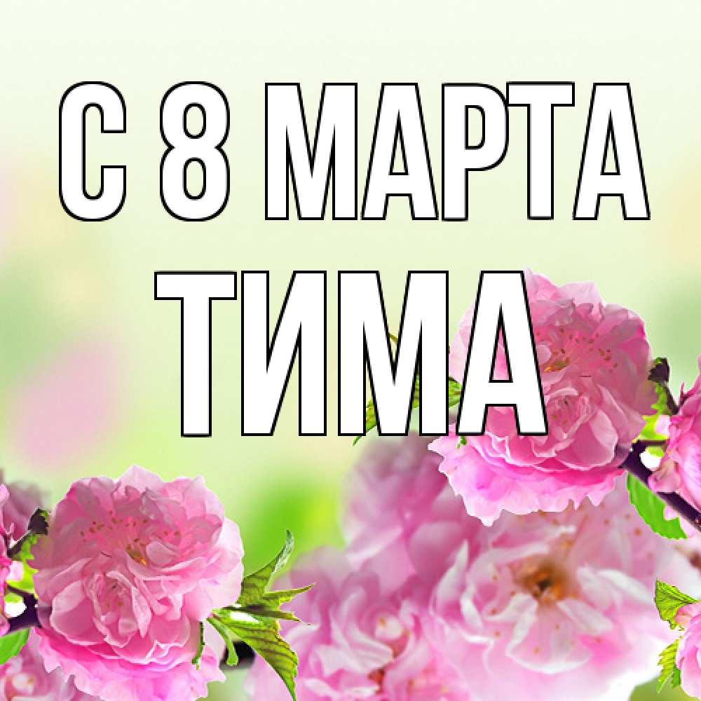 Открытка на каждый день с именем, Тима C 8 МАРТА цветы Прикольная открытка с пожеланием онлайн скачать бесплатно 