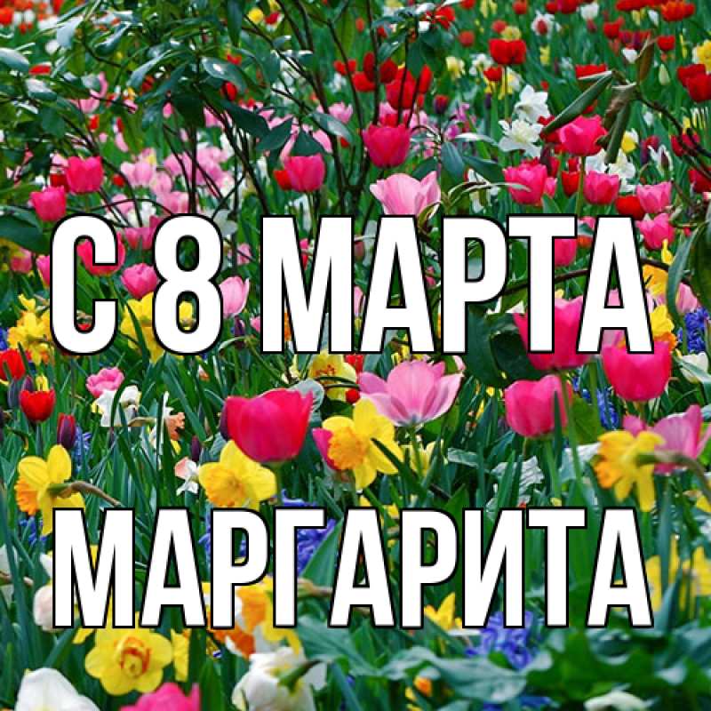 Картинка C 8 МАРТА, Маргарита